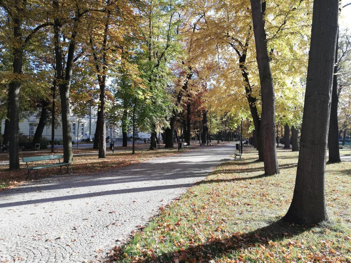 Waniliowe Zacisze Apartamento Jelenia Góra Exterior foto
